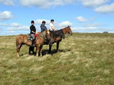 Wales-Wales-Black Mountains Trail